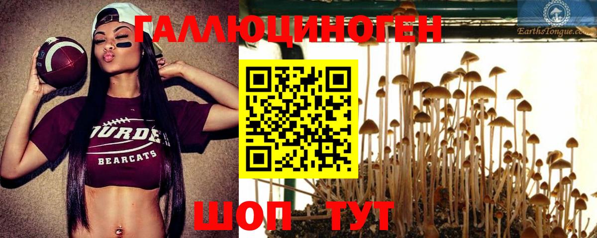 Псилоцибиновые грибы Cubensis  Псилоцибиновые грибы Psilocybe  купить   Вход с VPN  Ростов-на-Дону 